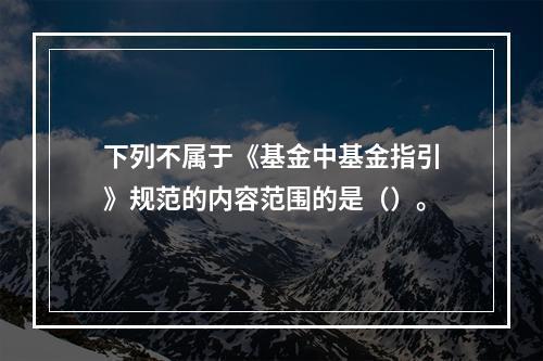 下列不属于《基金中基金指引》规范的内容范围的是（）。