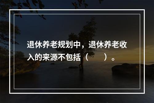 退休养老规划中，退休养老收入的来源不包括（　　）。