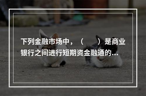 下列金融市场中，（　　）是商业银行之间进行短期资金融通的市场