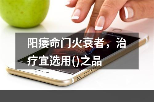 阳痿命门火衰者，治疗宜选用()之品