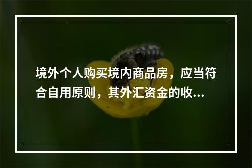 境外个人购买境内商品房，应当符合自用原则，其外汇资金的收支和