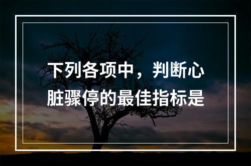 下列各项中，判断心脏骤停的最佳指标是