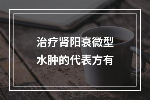 治疗肾阳衰微型水肿的代表方有