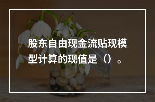 股东自由现金流贴现模型计算的现值是（）。