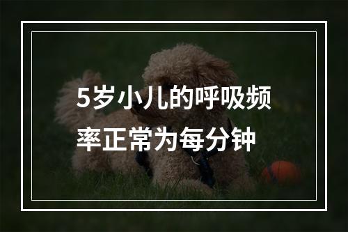 5岁小儿的呼吸频率正常为每分钟