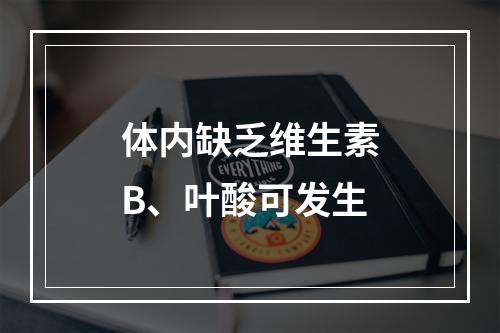 体内缺乏维生素B、叶酸可发生