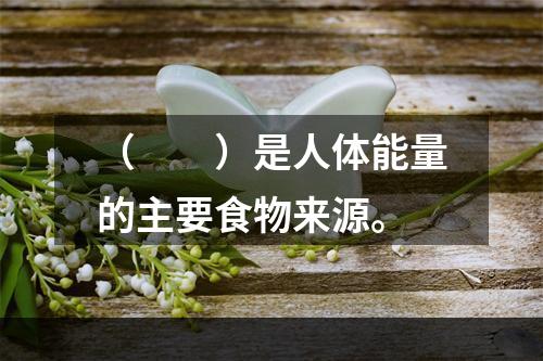 （　　）是人体能量的主要食物来源。