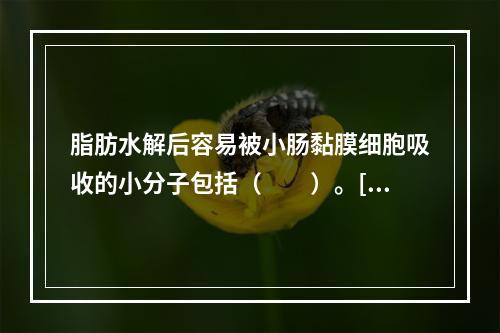 脂肪水解后容易被小肠黏膜细胞吸收的小分子包括（　　）。[福建