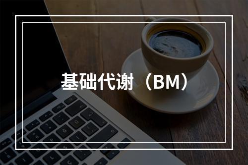 基础代谢（BM）