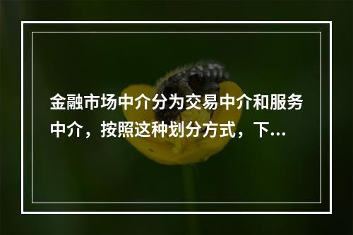 金融市场中介分为交易中介和服务中介，按照这种划分方式，下列机