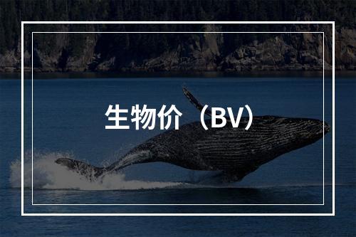 生物价（BV）