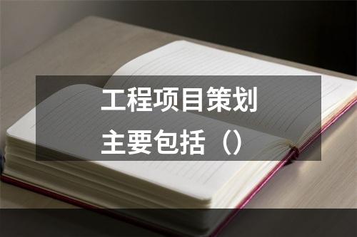 工程项目策划主要包括（）