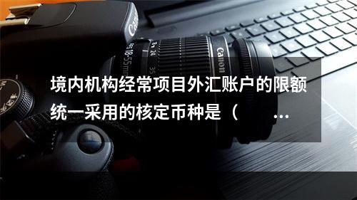 境内机构经常项目外汇账户的限额统一采用的核定币种是（　　）。