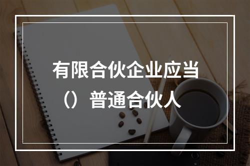 有限合伙企业应当（）普通合伙人