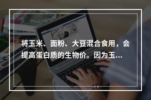 将玉米、面粉、大豆混合食用，会提高蛋白质的生物价。因为玉米、