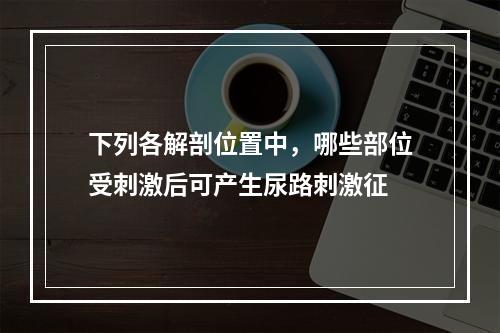 下列各解剖位置中，哪些部位受刺激后可产生尿路刺激征