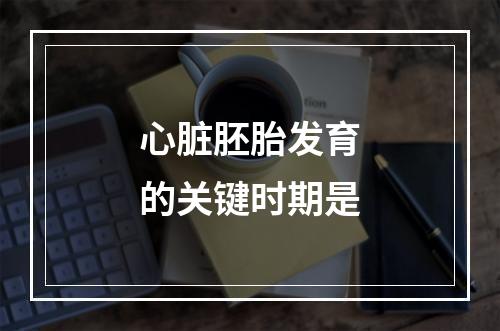 心脏胚胎发育的关键时期是