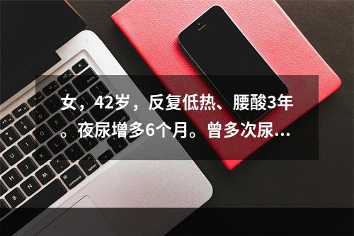 女，42岁，反复低热、腰酸3年。夜尿增多6个月。曾多次尿培养