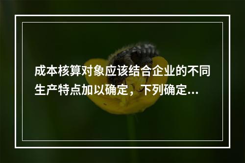 成本核算对象应该结合企业的不同生产特点加以确定，下列确定成本