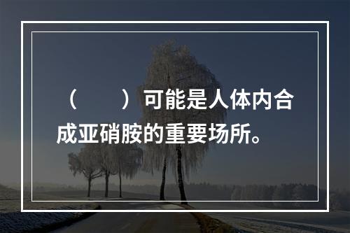 （　　）可能是人体内合成亚硝胺的重要场所。