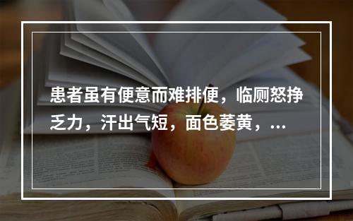 患者虽有便意而难排便，临厕怒挣乏力，汗出气短，面色萎黄，神疲