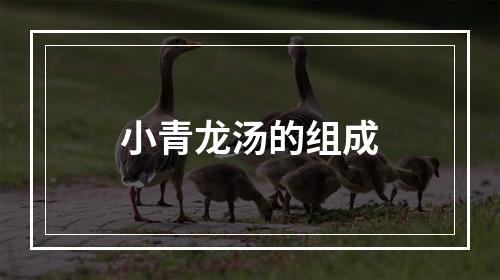 小青龙汤的组成