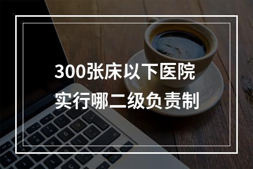 300张床以下医院实行哪二级负责制