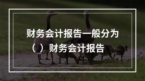 财务会计报告一般分为（  ）财务会计报告