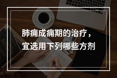 肺痈成痈期的治疗，宜选用下列哪些方剂