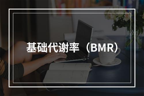 基础代谢率（BMR）