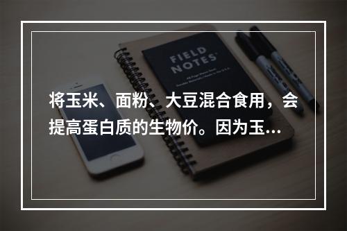 将玉米、面粉、大豆混合食用，会提高蛋白质的生物价。因为玉米、