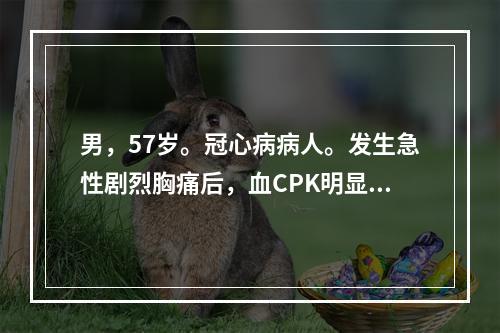 男，57岁。冠心病病人。发生急性剧烈胸痛后，血CPK明显升高