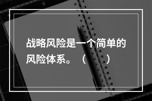 战略风险是一个简单的风险体系。（　　）