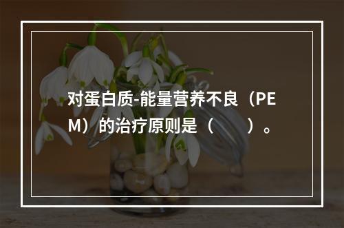 对蛋白质-能量营养不良（PEM）的治疗原则是（　　）。