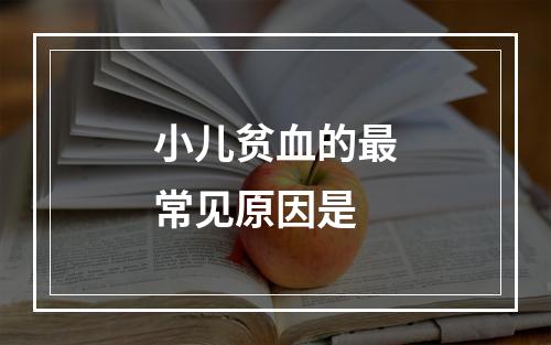 小儿贫血的最常见原因是