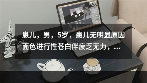 患儿，男，5岁，患儿无明显原因面色进行性苍白伴疲乏无力，经常