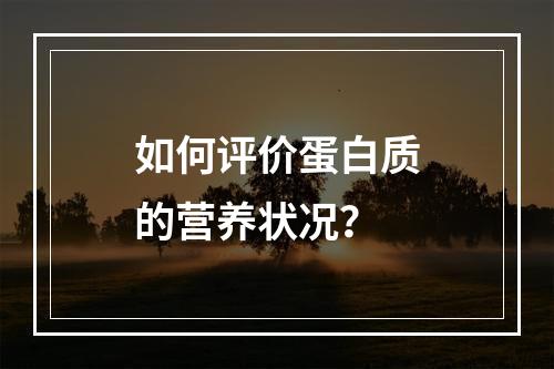 如何评价蛋白质的营养状况？