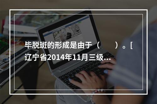 毕脱斑的形成是由于（　　）。[辽宁省2014年11月三级真题