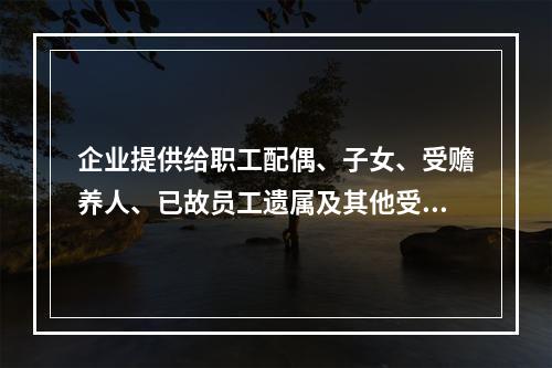 企业提供给职工配偶、子女、受赡养人、已故员工遗属及其他受益人