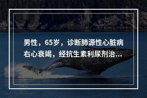 男性，65岁，诊断肺源性心脏病右心衰竭，经抗生素利尿剂治疗后