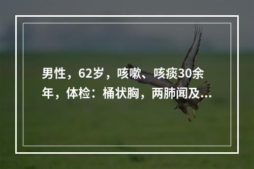 男性，62岁，咳嗽、咳痰30余年，体检：桶状胸，两肺闻及干湿