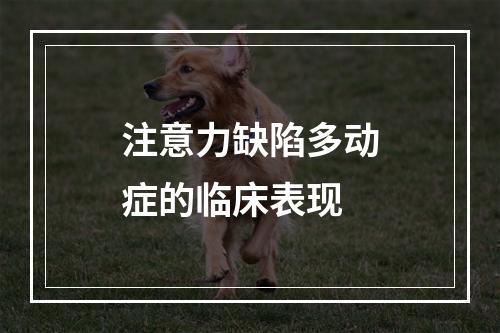 注意力缺陷多动症的临床表现