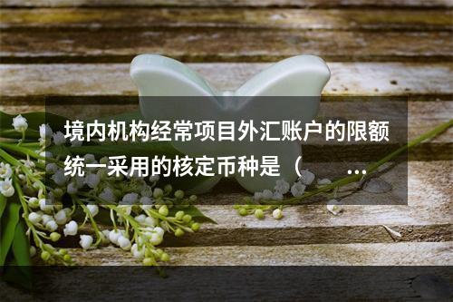 境内机构经常项目外汇账户的限额统一采用的核定币种是（　　）。