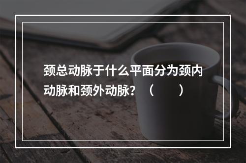 颈总动脉于什么平面分为颈内动脉和颈外动脉？（　　）