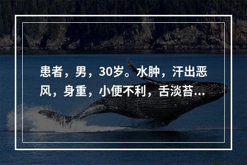 患者，男，30岁。水肿，汗出恶风，身重，小便不利，舌淡苔白，