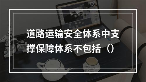 道路运输安全体系中支撑保障体系不包括（）