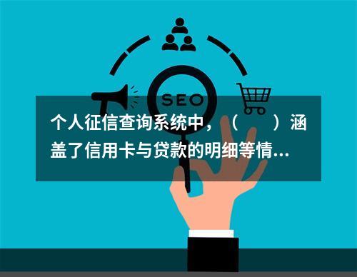 个人征信查询系统中，（　　）涵盖了信用卡与贷款的明细等情况。