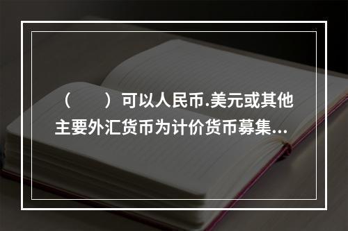 （　　）可以人民币.美元或其他主要外汇货币为计价货币募集。