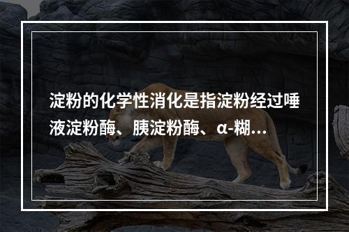 淀粉的化学性消化是指淀粉经过唾液淀粉酶、胰淀粉酶、α-糊精酶