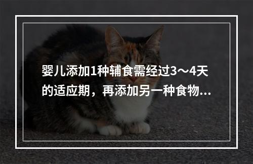 婴儿添加1种辅食需经过3～4天的适应期，再添加另一种食物。（